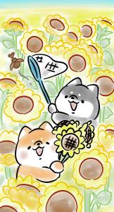 くろ3