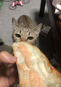 ふるすぎ