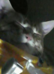 やま