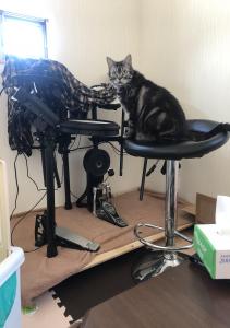くろのーのー