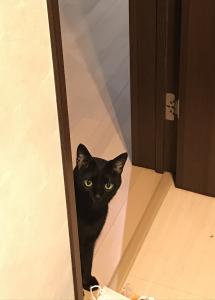 くろだよもぞう