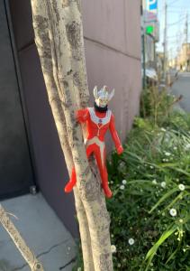 スコキャ