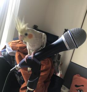 えいじとコウキ