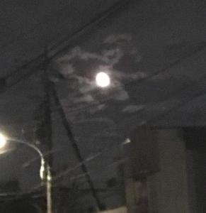 月の影