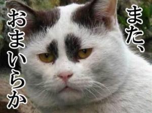 ぶっちゃけじーさん