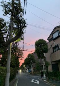 ナチュラル6060