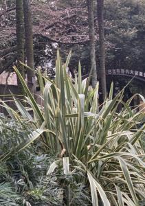s.y0521