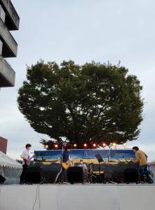 Tabuchi57craz