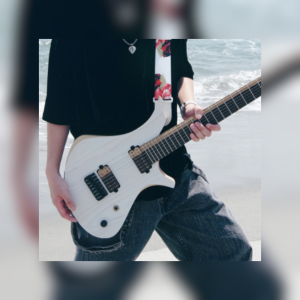 ヒビキ(響)