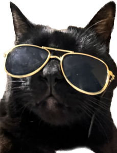 黒猫remon