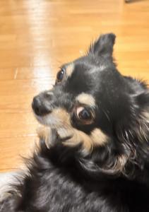 きょち