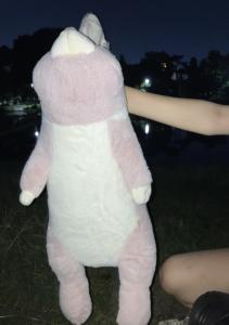 泰誠