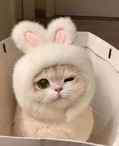 曖昧