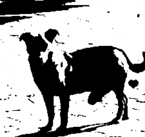 塊男