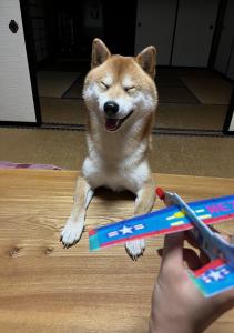 かわ2