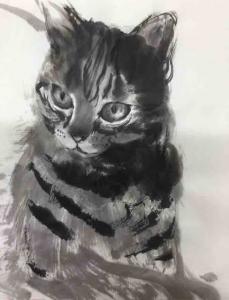 Dやねん