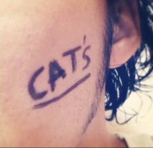 wwCatsww