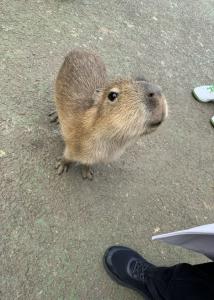 そーん