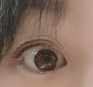 のらくじゃく