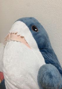 ふぃれ