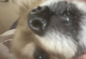 ひりぃ