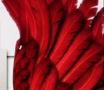 深紅ノ鴉