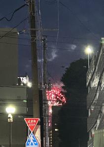 しらどら