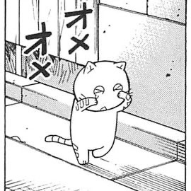 ハマニシマコト