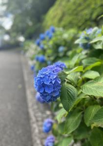 はるzt