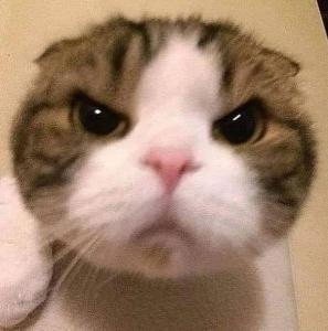 ゆひ゜
