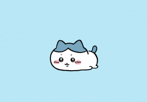 しゅち