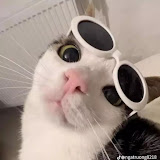 えみゅん