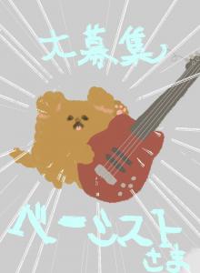 @drums800