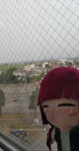 どす山