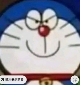 MEI1111