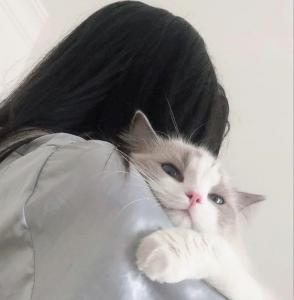 mmnk