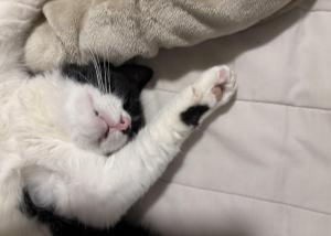 おちあい