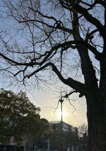 マーカーペン