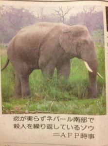 高木(タカギ)