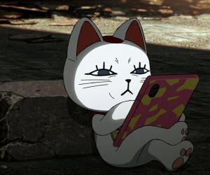 きな7070
