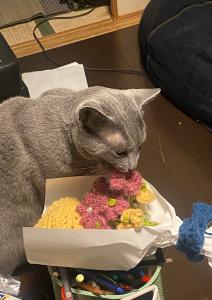 あーたろー