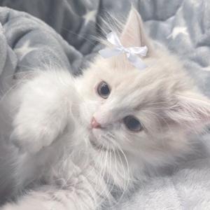 ゆん、