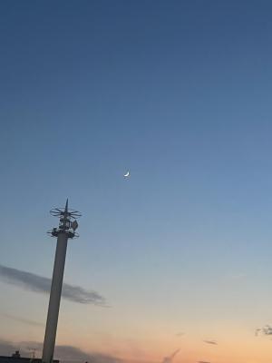 すいせい528