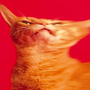 涙がキラリ