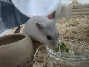 バンドメンバー募集！