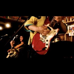 狂ったチワワズ