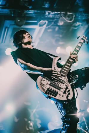 ビトク｜サポートベース弾きます