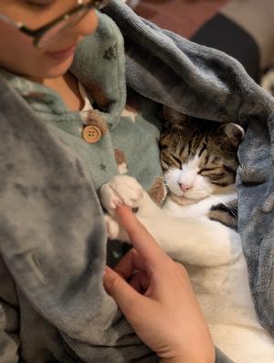 ばぼぼ
