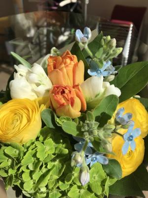 パンちゃんvo⭐︎