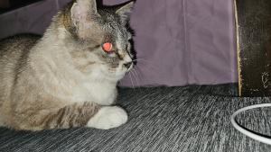 よし12